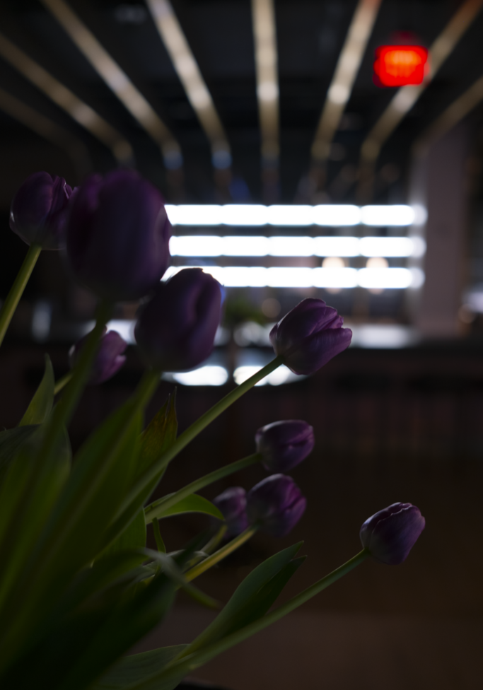 DSCF9616